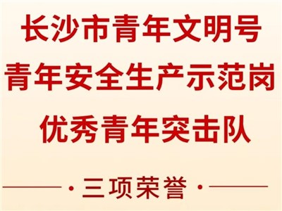 尊时凯龙人生就博集团荣获共青团长沙市委“号手岗队”建功大竞赛三项荣誉